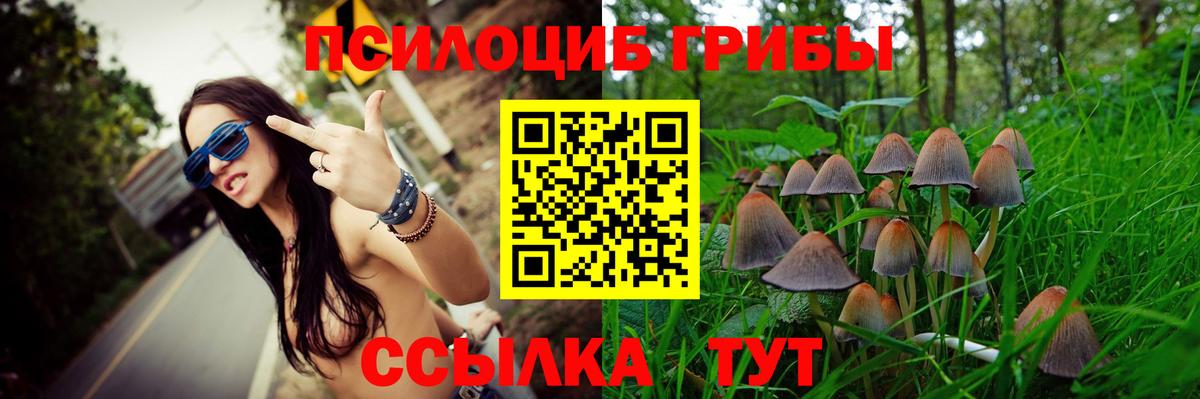 Псилоцибиновые грибы Psilocybine cubensis Черняховск